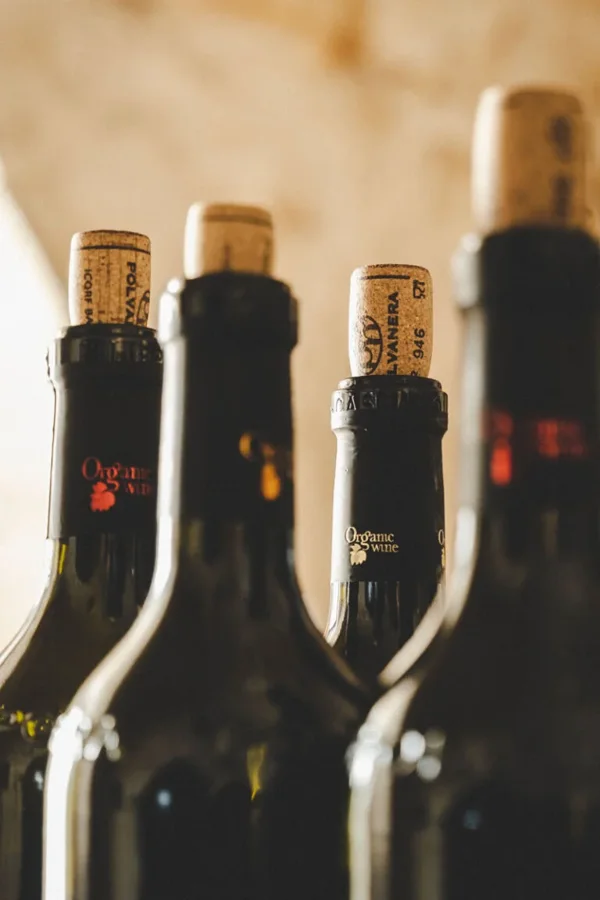 Bottiglie dei vini Polvanera